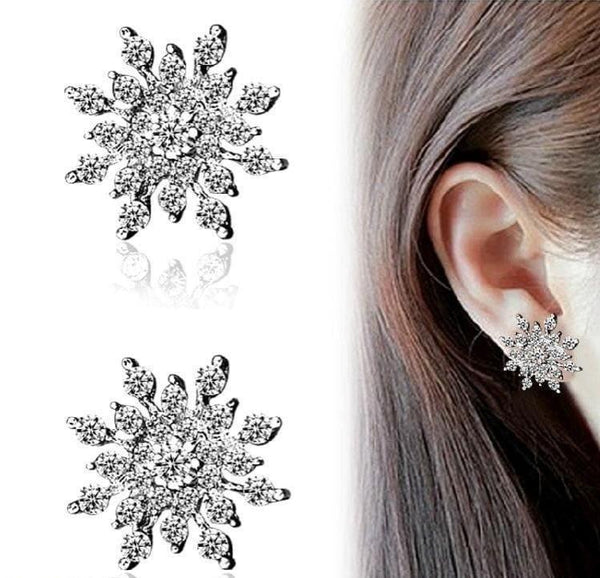 Luxury Fancy Zircon Studs